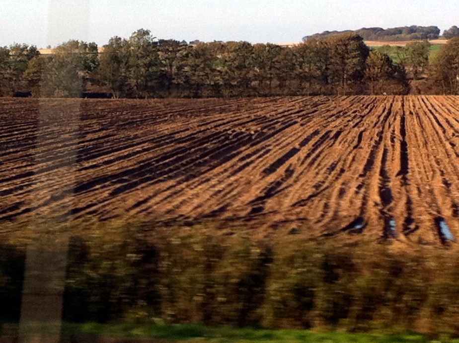 Shadows on a ploughed field