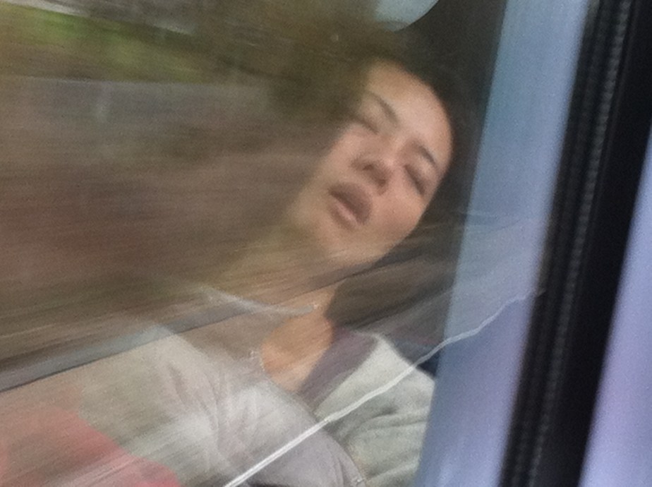 Sleeping on a Train 2