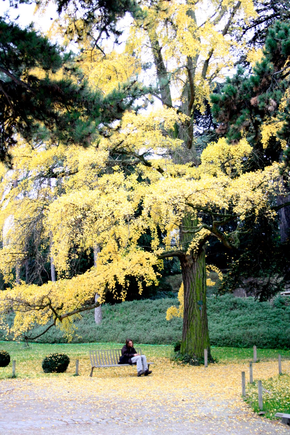 Jardin des Plantes, Paris
