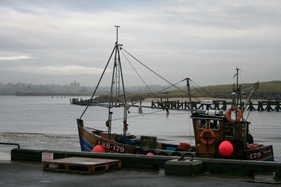 Red buoys at Amble Harbour