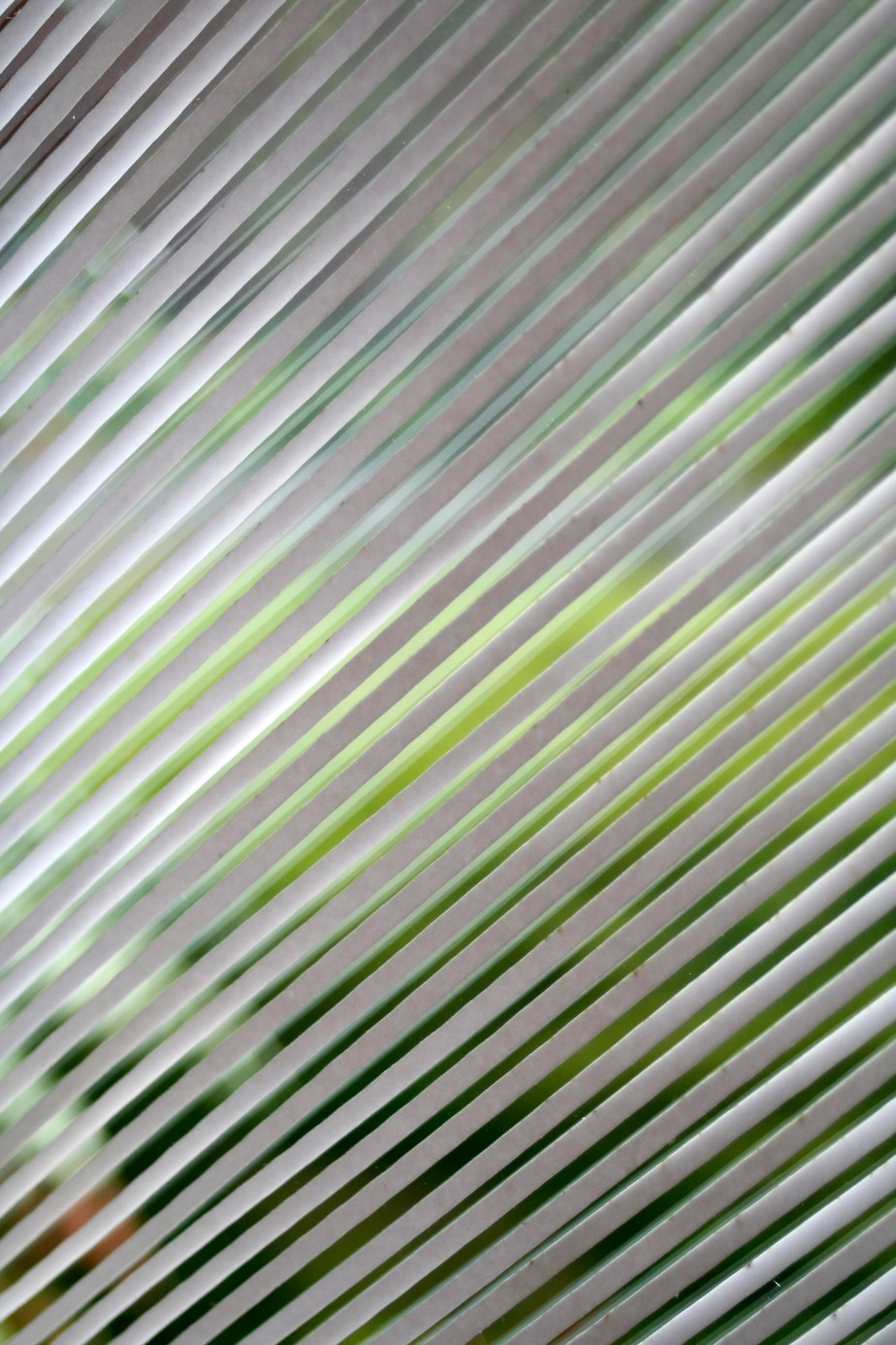 The garden seen through slotted paper