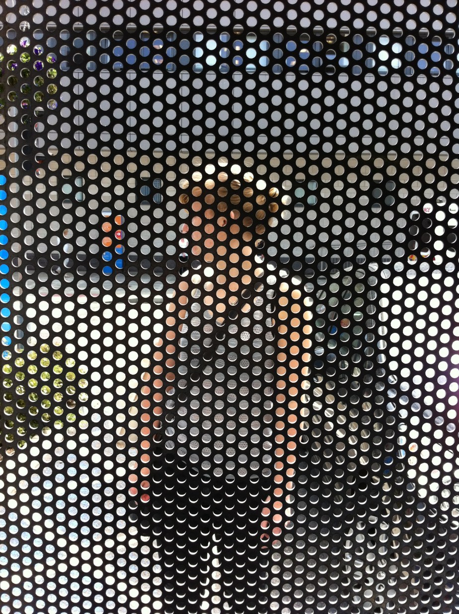 portrait through metal mesh