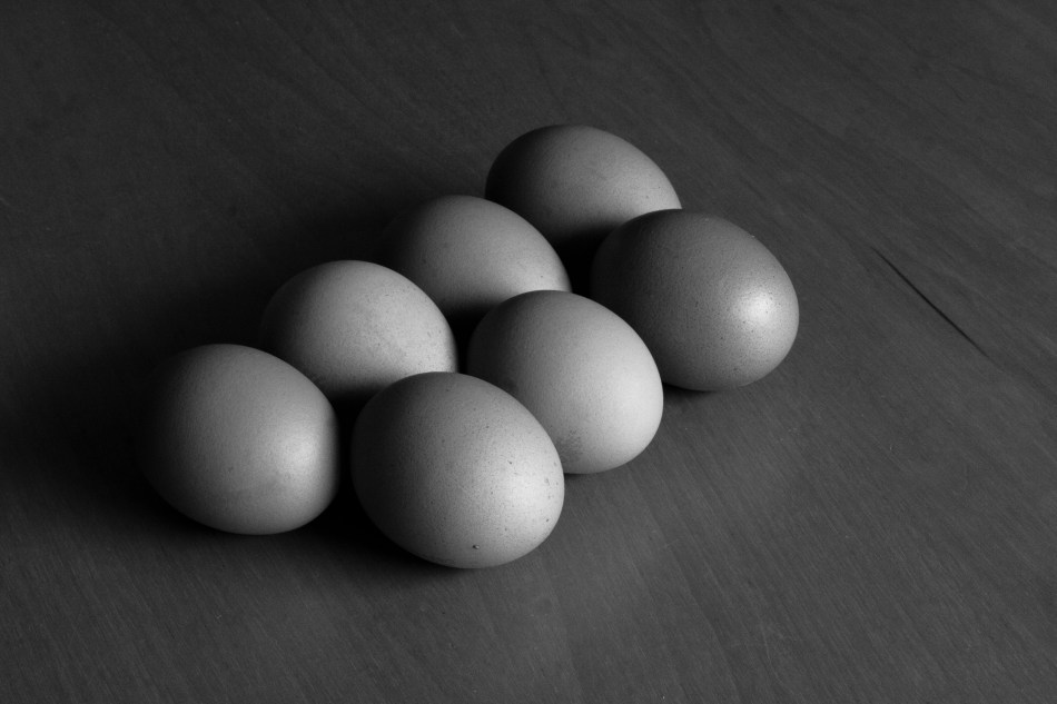 eggs