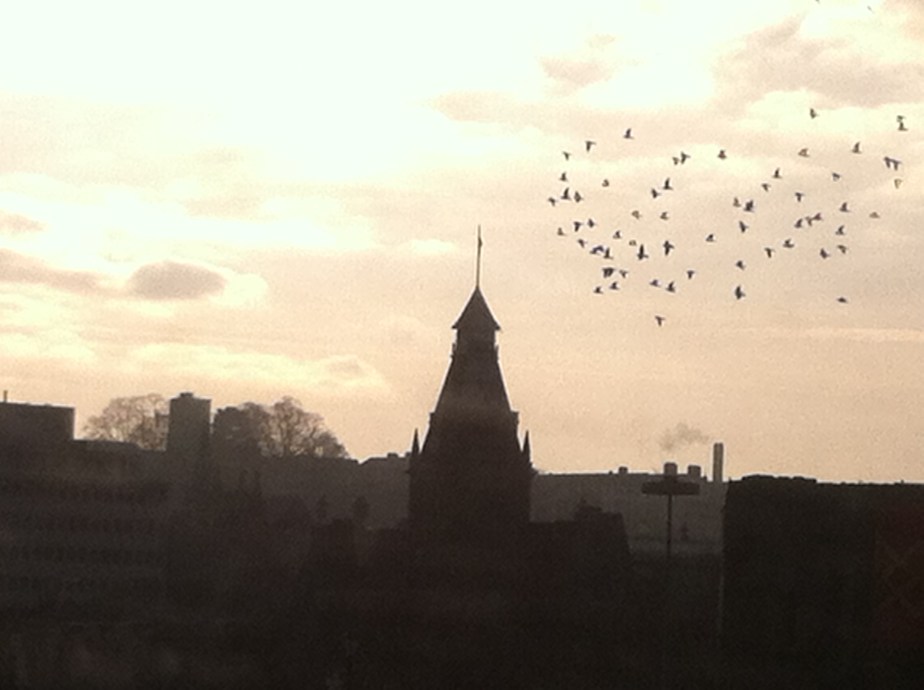 A Frosty Winter&nbsp;Afternoon