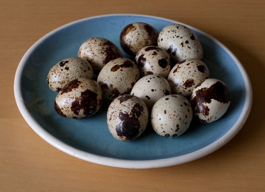 Quails Eggs on a blue plate
