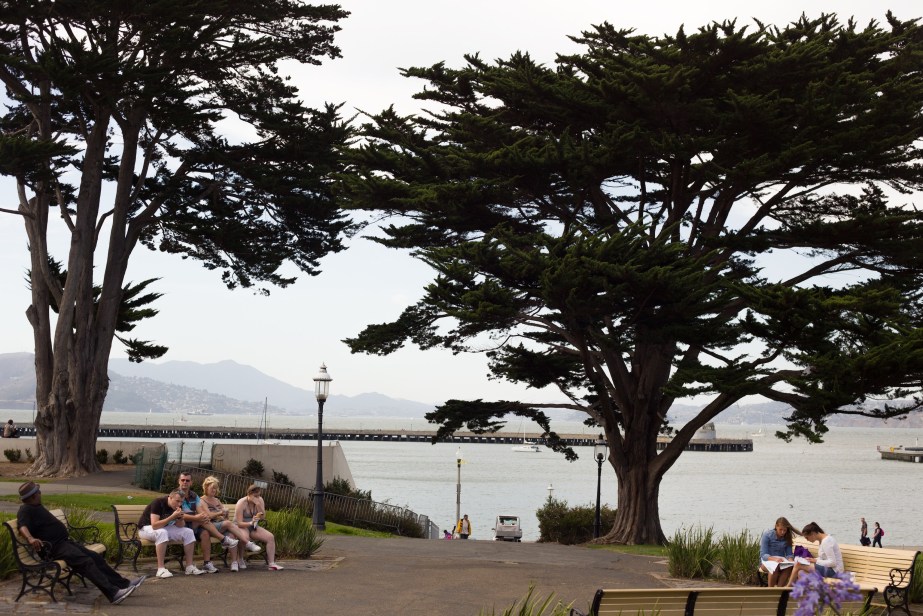 Aquatic Cove from Beach Street