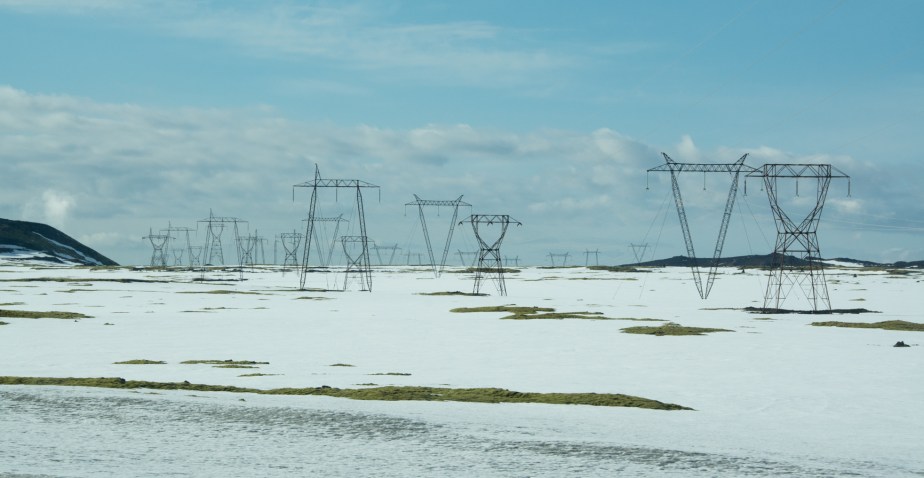 Glassy white coverlet over the first few new green shoots of spring.