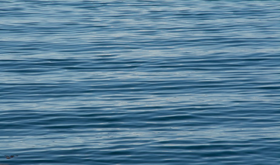 iceland Reykjavik Harbour